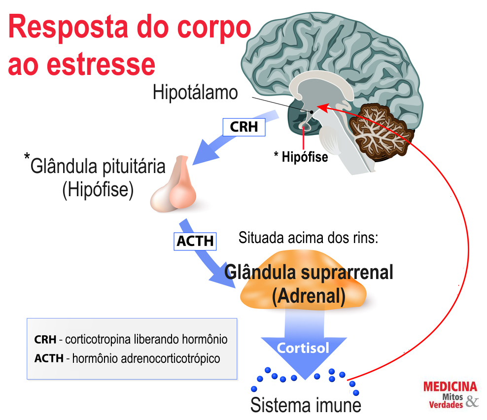 O filho dourado e o filho bode expiatório